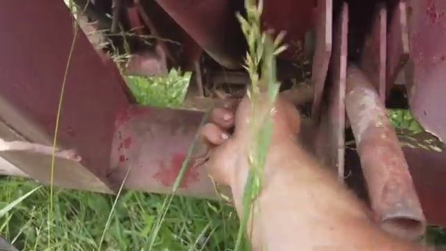 Cutting hay with a New Holland 495 and International 1086 смотреть онлайн