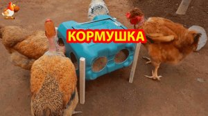 Кормушка курам несушкам на улицу из канистры закрытая на ножках 🤗😍💦