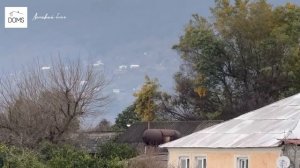 Восстанавливаем дом в Абхазии. Делаем забор