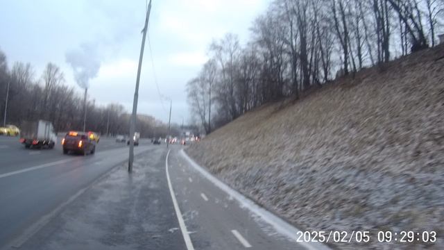 Петербуржец расчленил собутыльника после ссоры и закопал в овраге