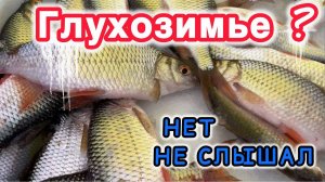 Ловля плотвы на мормышку в глухозимье. Зимняя рыбалка