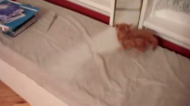 Типичное утро девушек:D