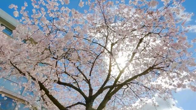 ЖУТКОЕ ПРЕДСКАЗАНИЕ АСТРОЛОГА ТАТЬЯНЫ БОРЩ: ЧТО НАС ВСЕХ ОЖИДАЕТ В БЛИЖАЙШЕЕ ВРЕМЯ? ЛЮДИ В СТРАХЕ.. смотреть онлайн