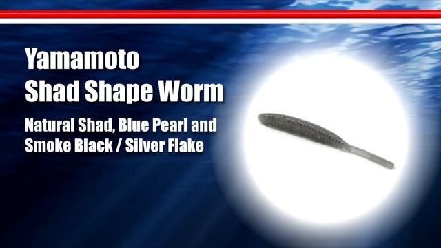 Table Rock Lake Video Fishing Report Oct  5 2022