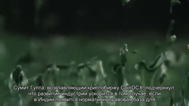 Индийские криптобиржи не боятся падения биткоина