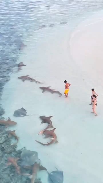 Райское место!🌊 смотреть онлайн