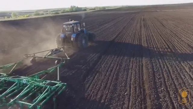 Предпосевная обработка почвы почвенным гербицидом и культивация. Сев подсолнечника