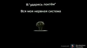 мемы с ЧеРнЫм КоТоМ