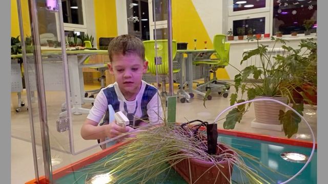 Научно-исследовательский проект: "От зернышка до хлеба" смотреть онлайн