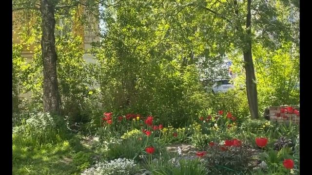 влог: май, Ярославль, красота. велопрогулка и театр🤌🏻💞🪷🎧 смотреть онлайн