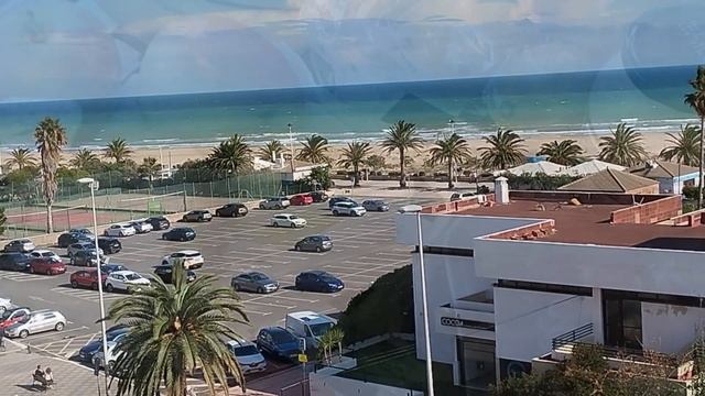 Вкусные закупки и погода в Испании за неделю 10ноября 2024 г. смотреть онлайн