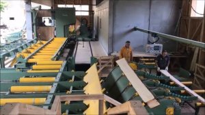 Линия на базе ленточнопильного агрегата Primultini. WDT Maschinenbau GmbH, Австрия.