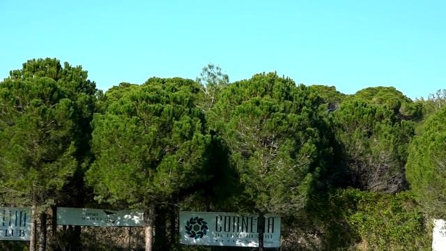 «Арсенал» Тула, Россия - «Окжетпес» Кокшетау, Казакстан 1:2 смотреть онлайн