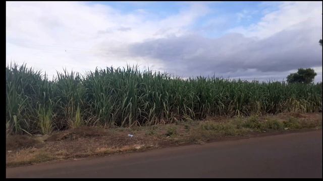 21 Km Cycling 🤑🤑 смотреть онлайн