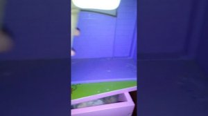 Орёл и решка перезагрузка париж