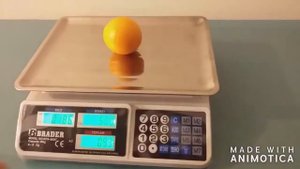 40 KG ELEKTRONİK TERAZİ BRADER ACS-809