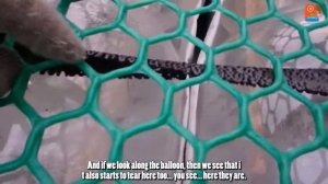 Строительство катамарана из ПЭТ кег - Проблемы / Catamaran construction - Troubles