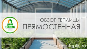 Теплица Прямостенная