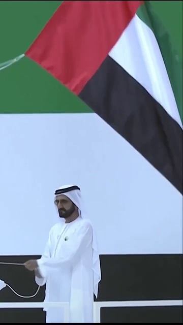 Sheikh Mohammed Bin Rashid Al Maktoum Dubai King Hoist UAE Flag #faz3 #fazza #uae #shorts #short смотреть онлайн