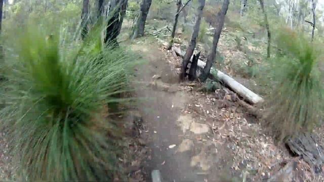 Camelfarm 21-04-13 Mercury street смотреть онлайн