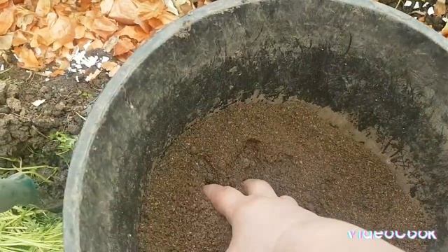 Высаживаю рассаду томатов в теплицу/ чем заполняю лунки 🍅🍅🍅 смотреть онлайн