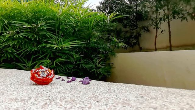 Beyblade and Chill | Relaxing Bird Sounds featuring Death Solomon | Beybade Burst DB смотреть онлайн