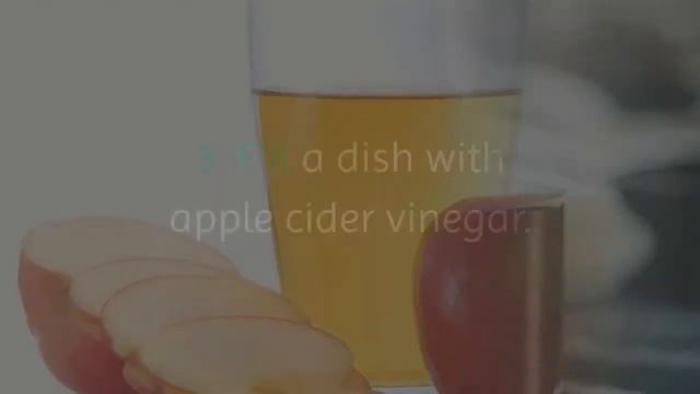 How To Get Rid Of Fruit Flies In Your House for Good | смотреть онлайн