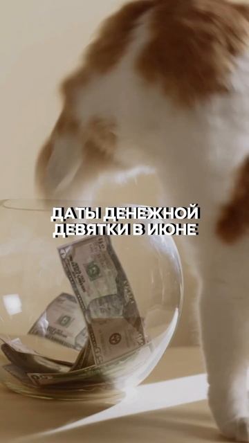 Даты денежной девятки в июне!#феншуй #психология #эзотерика #денежнаямагия #ритуалнасегодня