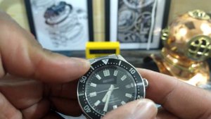 Citizen "Barnacle" NB6021-68L VS Seiko "62 Mas" SPB143