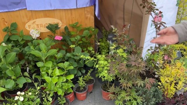 ANATERA GARDEN - фестиваль цветов в Алматы! Выставка цветов в Алматы! #питомник #гортензия