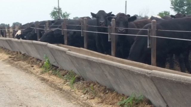 Feeder Flash 5/9: Wrong смотреть онлайн