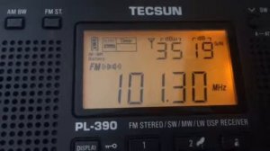 Радио Мир на 101.3 Мгц, г.Рубцовск, прием в 90 км от города на внешнюю антенну.