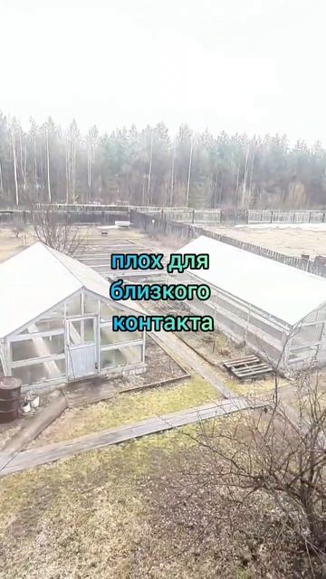 лунный календарь 09.05.24 #лунныйкалендарь #астропрогнознакаждыйдень #астрология #лунныедни смотреть онлайн