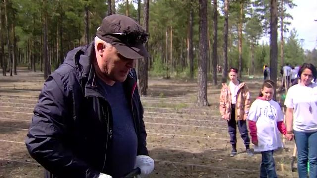 Посадили Аллею предпринимателей с лесу