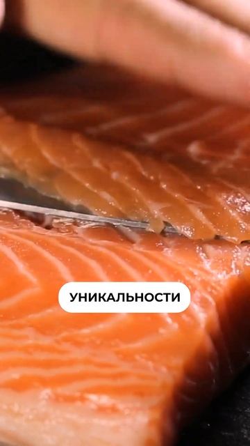Почему лосось – ЛУЧШАЯ рыба? #еда #рыба #полезнаярыба