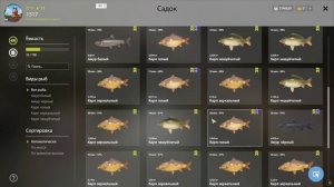 РР4 Медвежка Фарм на Карпозаврах