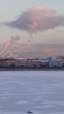 Музейная Педагогика, компетенция Чемпионата Профессионалы, юниорская линейка