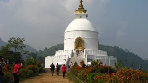 Непал 2013. Покхара.Читван.