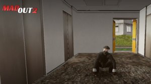 играю с друзьями в MadOut2