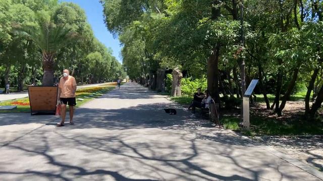 Наш день в Варне Красный крест