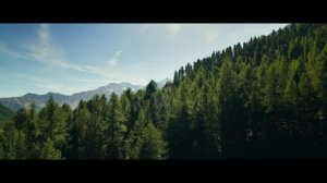 Дети леса - Русский трейлер