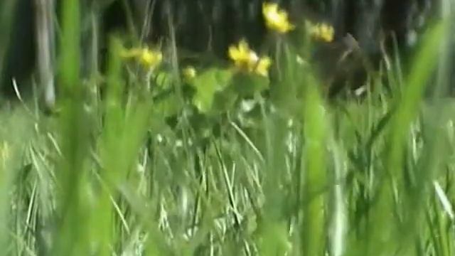 Улица Садовая,5 смотреть онлайн