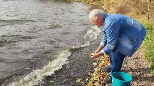 ВЫПУСКАЕМ КАРАСЕЙ в Урал! НОВЫЙ САЛАТ!