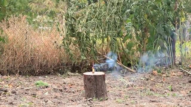 Петарды CRAZY ROBS P1008 смотреть онлайн