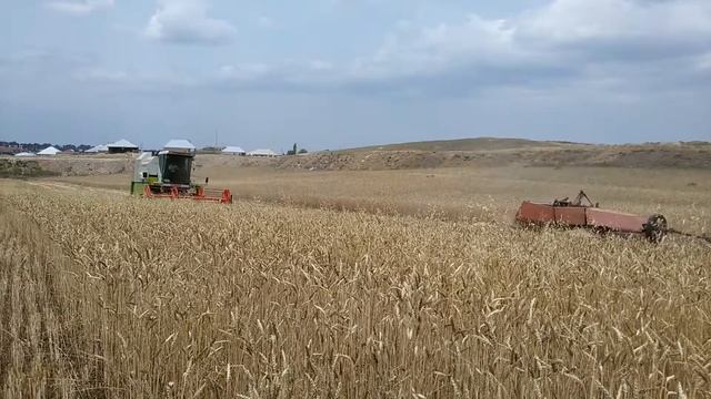 Weizen dreschen mit CLAAS Dominator 130 und Sampo 2045 смотреть онлайн
