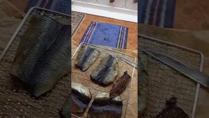 вяленая селедка в дегидраторе (сушилке для овощей) за 12 часов.
