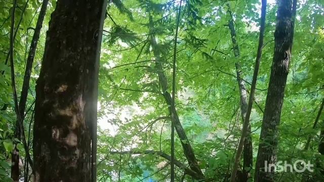 Эта Беда коснется каждого в Башкортостане. смотреть онлайн