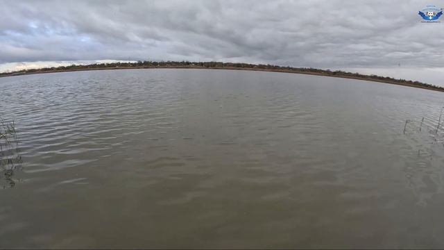 Автоматический кормораздатчик с пневмоподачей «ФРЕЙ-1», кормушка для рыбы