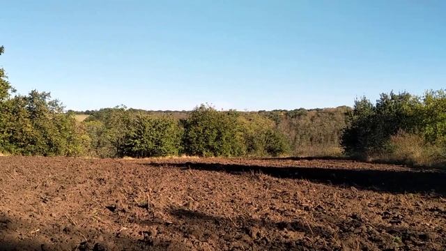 Тест плуга AGRA 3-35 на круглой стойке в целине смотреть онлайн