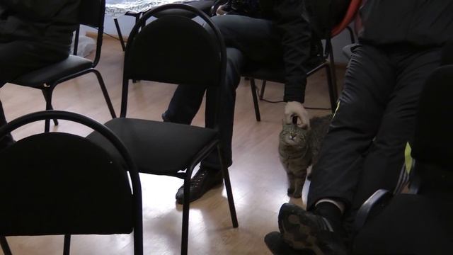 "Равноденствие 2015" - Будни конференции 18 апреля 2015 г., часть 6 смотреть онлайн